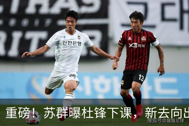 重磅！苏群曝杜锋下课，新去向出炉，球迷喊话杨鸣接手，能行吗？